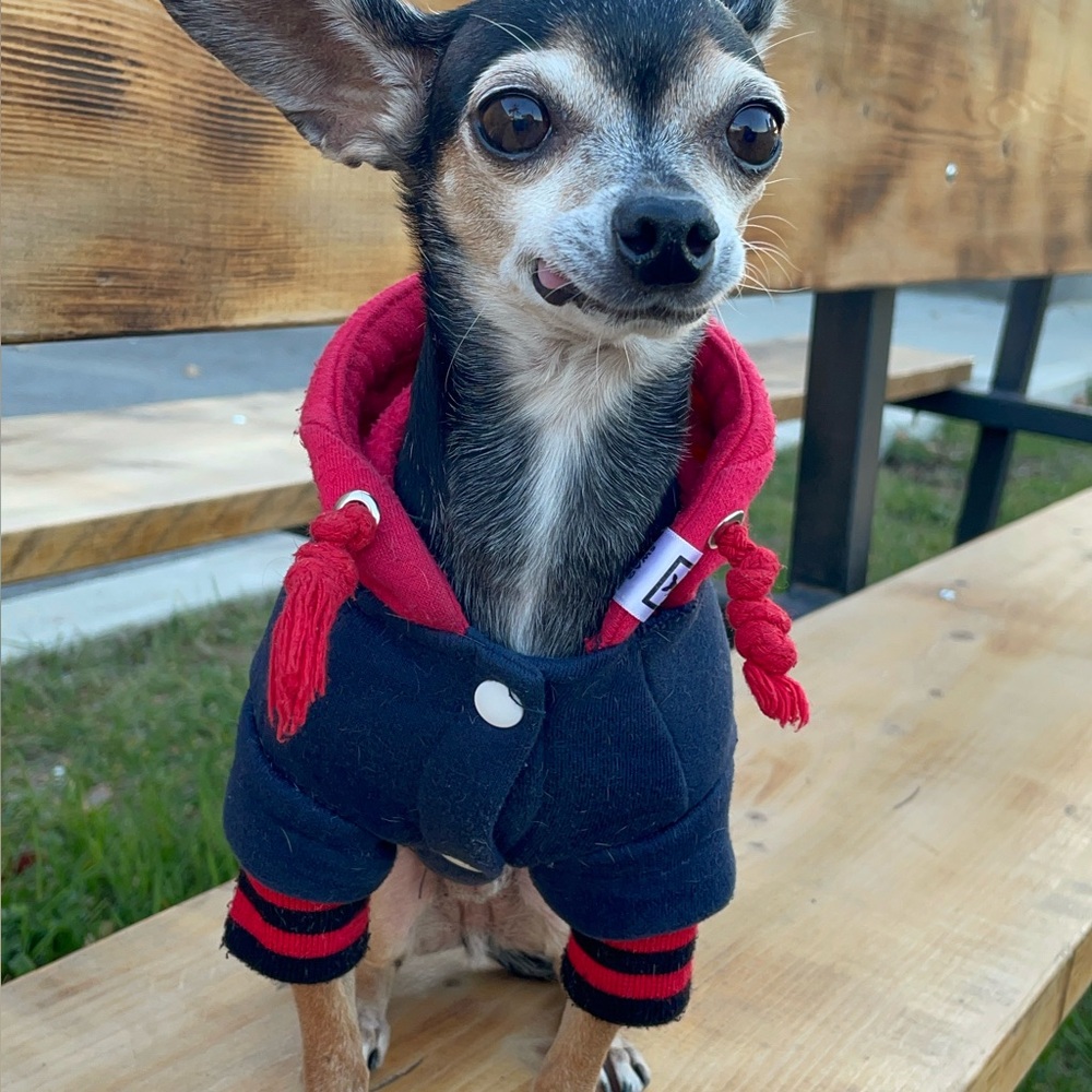 NWT Red And Navy Hoodie